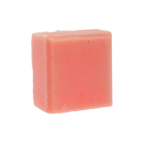 Wish You Were Here... Solid Conditioner Bar 2 oz - Fortune Cookie Soap
