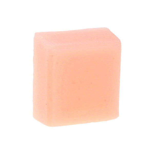 Roy G. Biv Solid Conditioner Bar - Fortune Cookie Soap