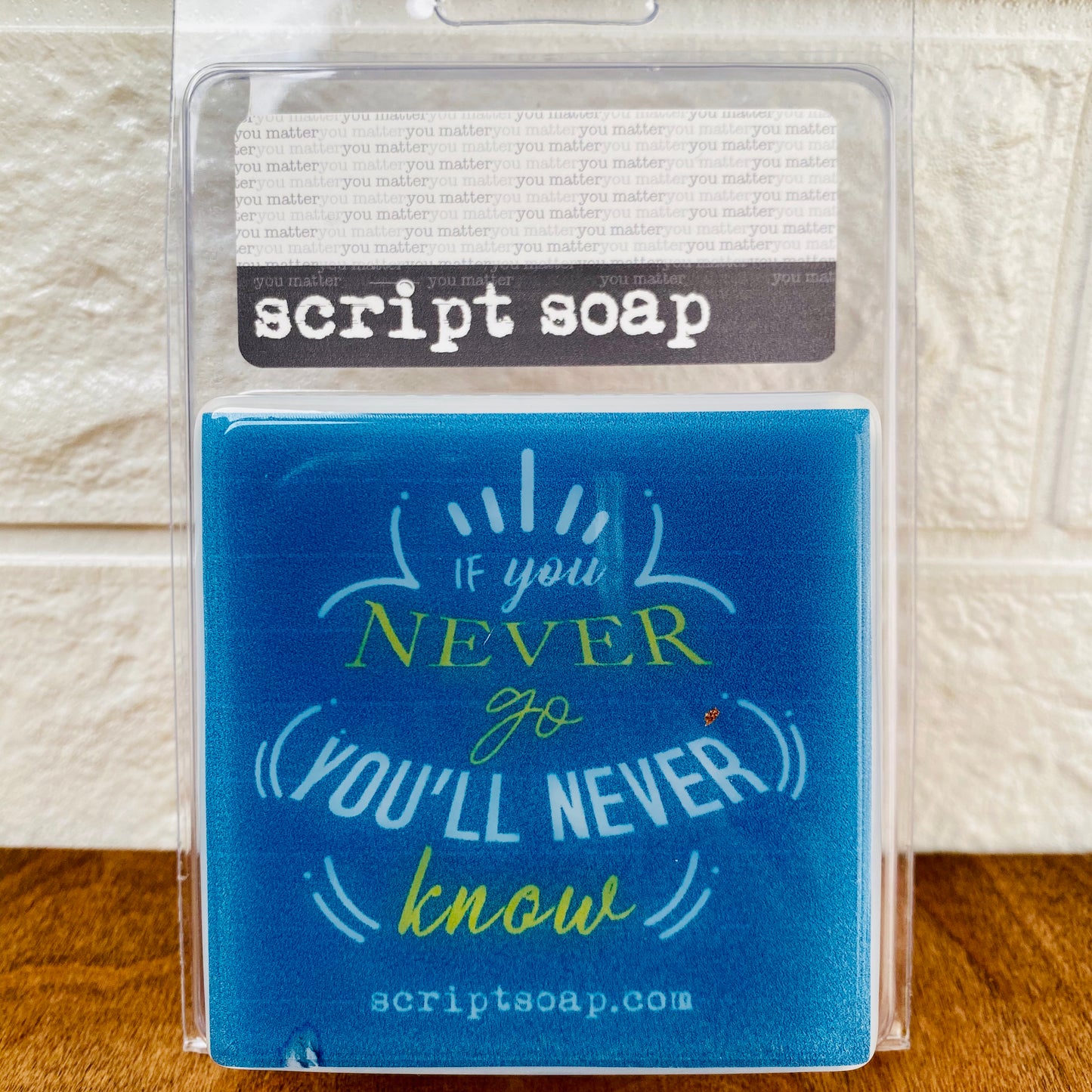 IF YOU NEVER GO, YOU'LL NEVER KNOW Script Soap