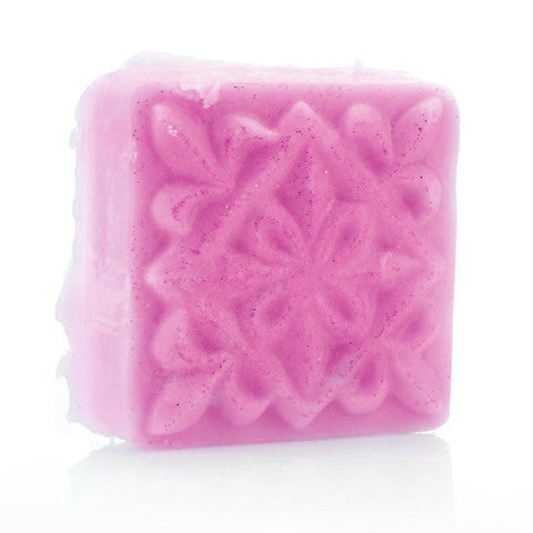 Cranberry + Apple = FTW Hydrate Me! (2 oz.) - Fortune Cookie Soap