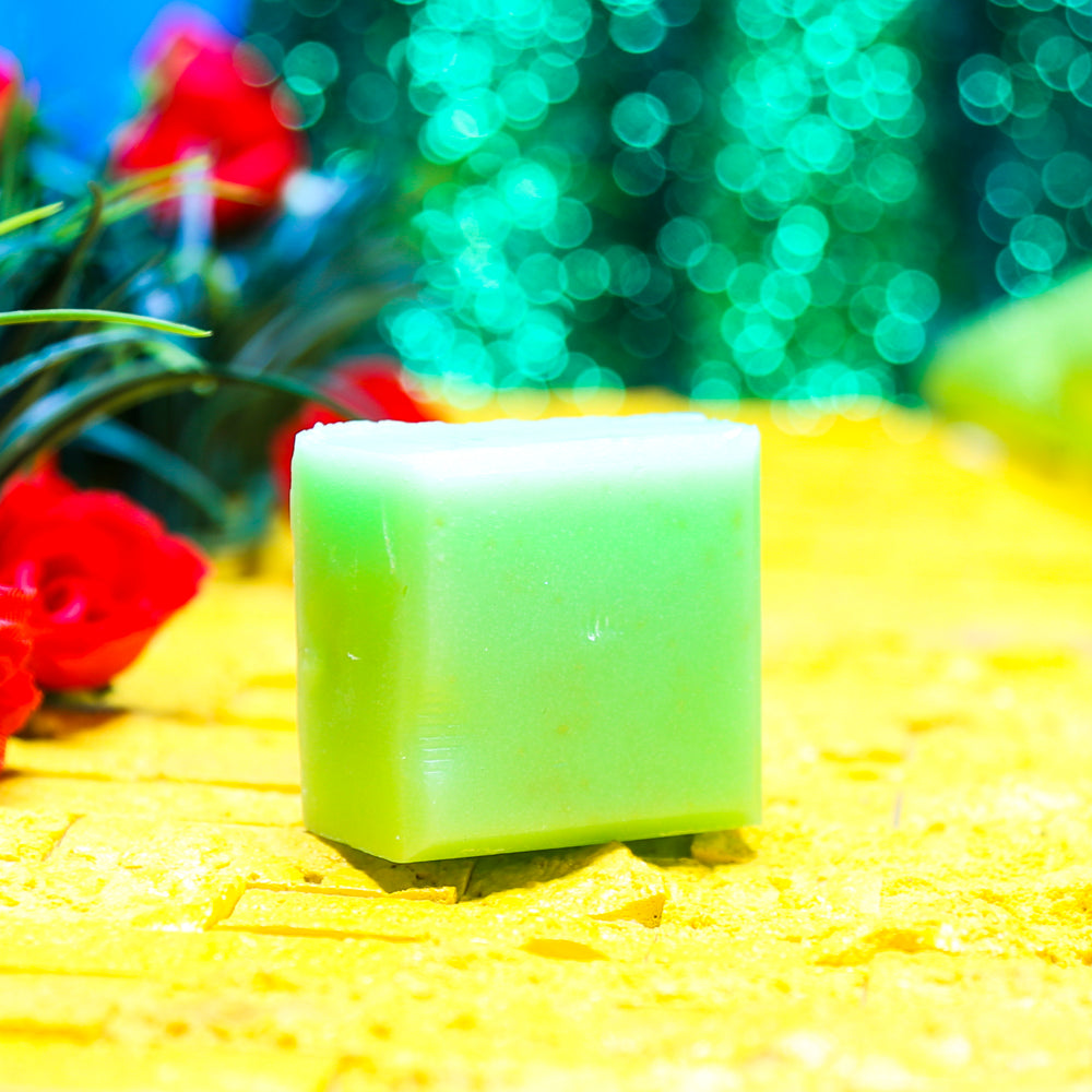 GREEN IS THE NEW BLACK Conditioner Bar