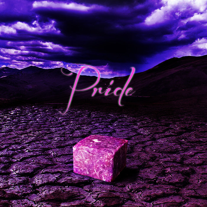 PRIDE Shampoo Bar - Fortune Cookie Soap