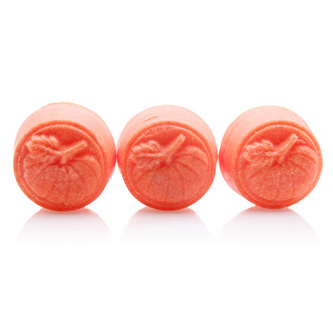Pick of the Patch Bath Melt (1 oz, Set of 3) - Fortune Cookie Soap